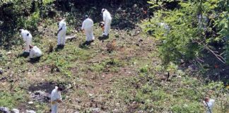 Investigators at the Cocula dump, where students' bodies might or might not have been burned.