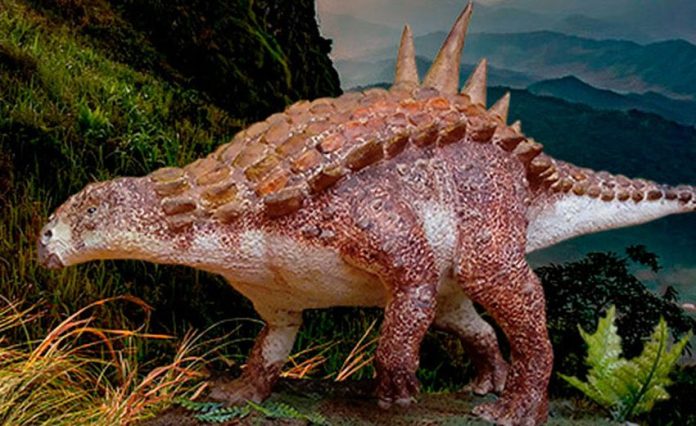 This dinosaur roamed what is now Coahuila some 70 million years ago.