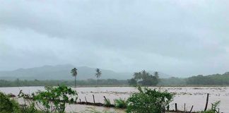 Flooding in Tomatlán, Jalisco, has devastated the crops of small producers.