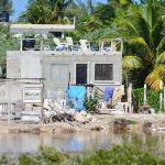 Home construction is encroaching on mangroves, charge local officials.