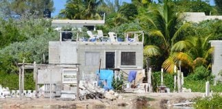 Home construction is encroaching on mangroves, charge local officials.