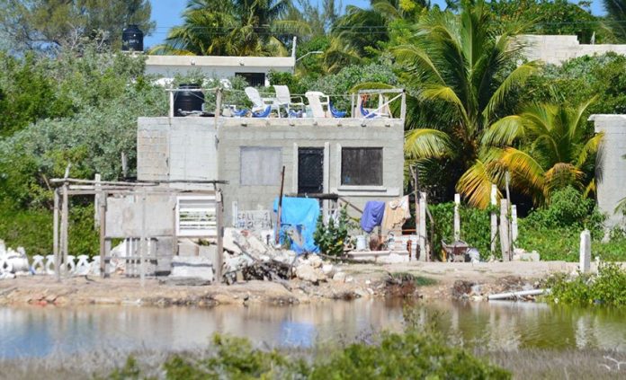 Home construction is encroaching on mangroves, charge local officials.