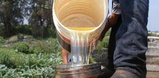 In Pemex pipelines, fuel that's free for the taking.