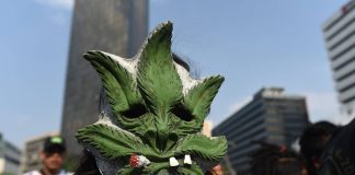 A pro-marijuana marcher at a demonstration in Mexico City.