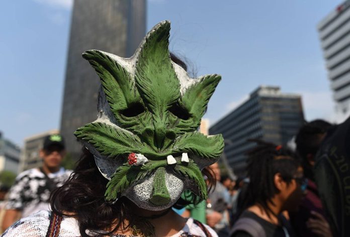 A pro-marijuana marcher at a demonstration in Mexico City.
