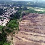 Land that has been cleared for the new oil refinery — without permits.