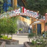 The Rosario monarch sanctuary in Michoacán.