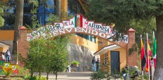 The Rosario monarch sanctuary in Michoacán.