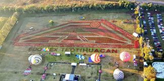 The carpet of poinsettias in Teotihuacán.