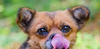 You don't know where that tongue might have been.