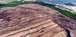 The refinery site where mangroves were allegedly removed.