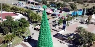 The record-breaking Christmas tree in Aguascalientes.