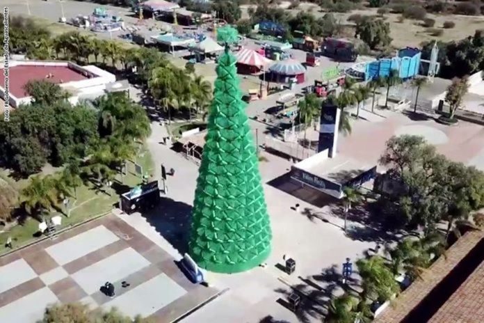 The record-breaking Christmas tree in Aguascalientes.
