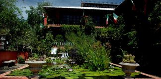 Vallarta Botanical Garden is 24 kilometers south of Puerto Vallarta.