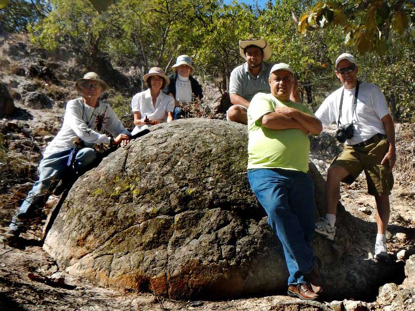 Biggest Piedra Bola measured by author was 2.9 meters in diameter.