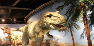 One of the displays at the Monterrey dinosaur exhibition.