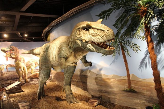 One of the displays at the Monterrey dinosaur exhibition.