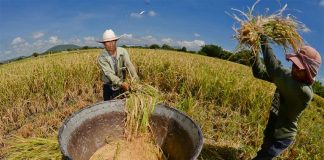 Guaranteed prices could impact inflation.