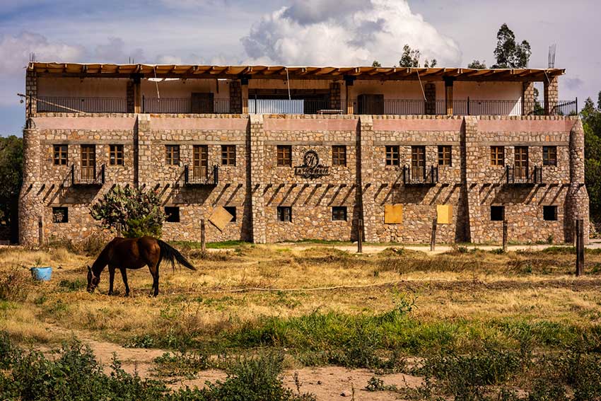 A horse eating in front of the stables and hostel at Hacienda Tovares.