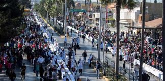The world's longest rosca de reyes runs up one side of the boulevard and down the other.