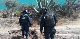 Police locate more pipeline taps in Hidalgo.