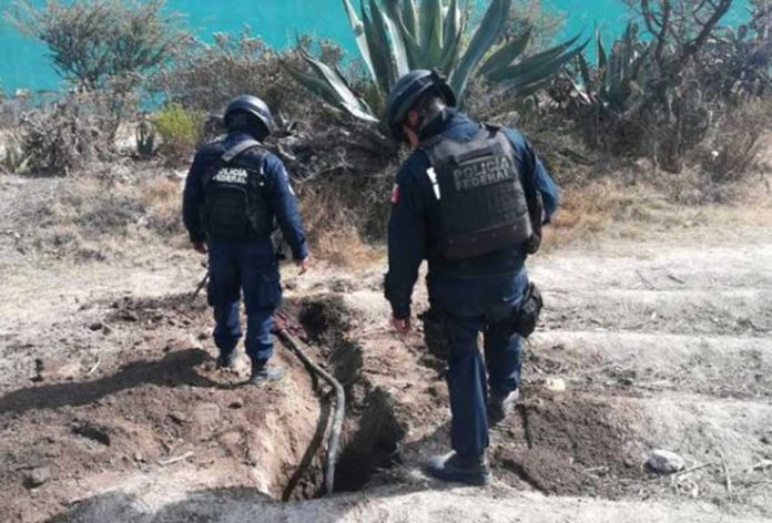 Police locate more pipeline taps in Hidalgo.