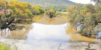 The Tula river: 'a channel for wastewater.'