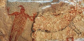 A red mono with fingers wearing what looks like a stocking cap at the Palmarita cave near San Ignacio