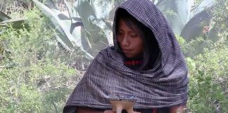 Roma star Aparicio in hometown video.