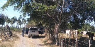 Area in Colima where the bodies have been found.