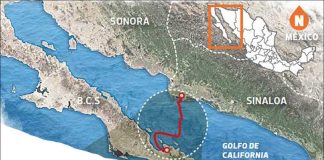 Route of the fibre optic cable to be installed by Huawei.