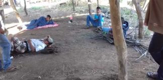 Traditional laws apply in indigenous Michoacán community.