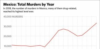 murders by year