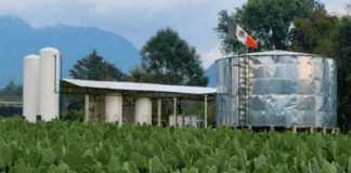 Nopalimex plant in Michoacán.