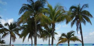 Playa Norte, No. 9 in the world.