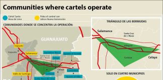 oil theft cartels