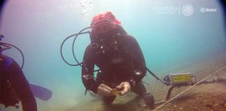 A diver searches for the missing ships.