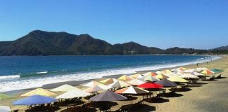 The beach umbrellas are ready for more growth in tourism.