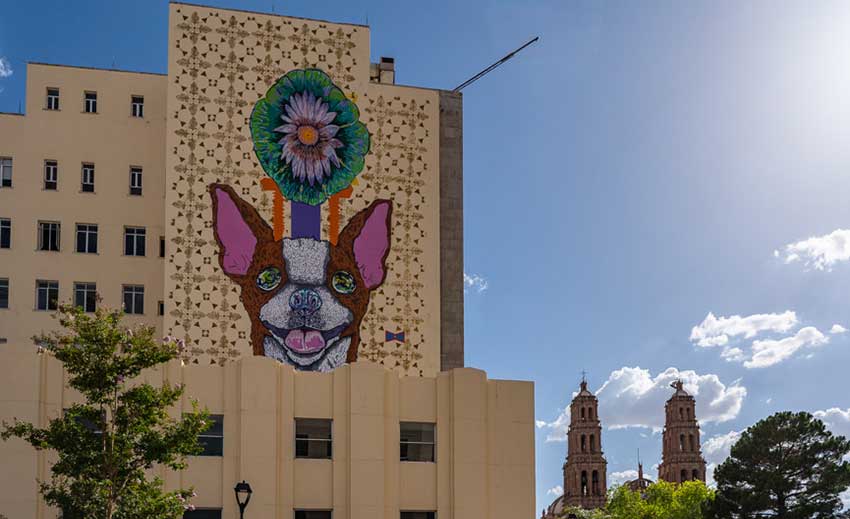 chihuahua dog mural