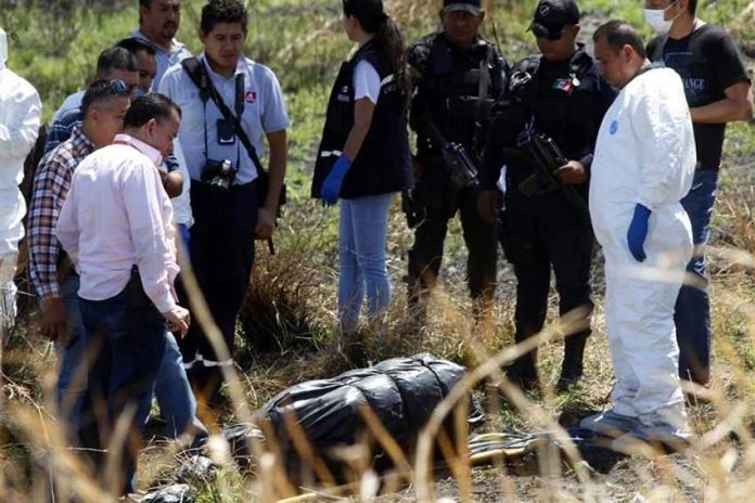Officials inspect one of the 19 bags containing bodies.