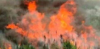 The Las Vigas fire in Veracruz.