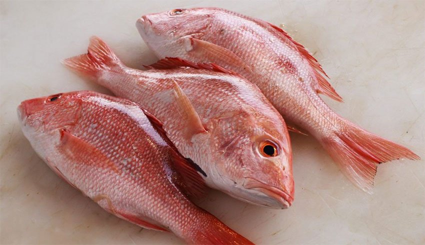 A substitute fish was provided in 54% of cases in which red snapper was ordered.