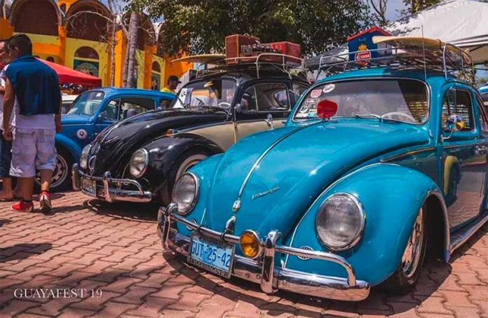 Volkswagen bugs at last year's Guayafest.