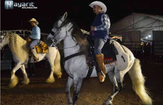 Dancing horses won't be seen at the Nayarit fair due to a prohibition on moving the animals.