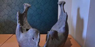 A woolly mammoth's mandible on display at the new exhibition