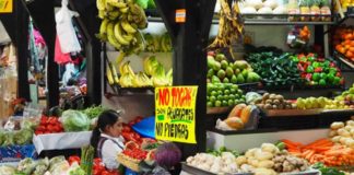 Keep your hands off the avocados at El Regreso de Jr. Díaz, says the sign: they're not stones.