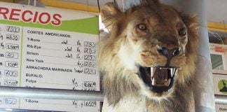 Fancy some lion for dinner? You can find it at the San Juan market.