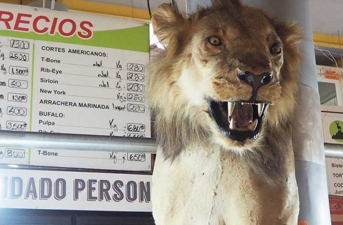Fancy some lion for dinner? You can find it at the San Juan market.