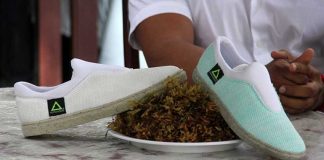 Renovare sargassum-soled shoes.