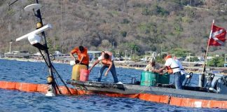 Clean-up efforts yesterday in Acapulco.